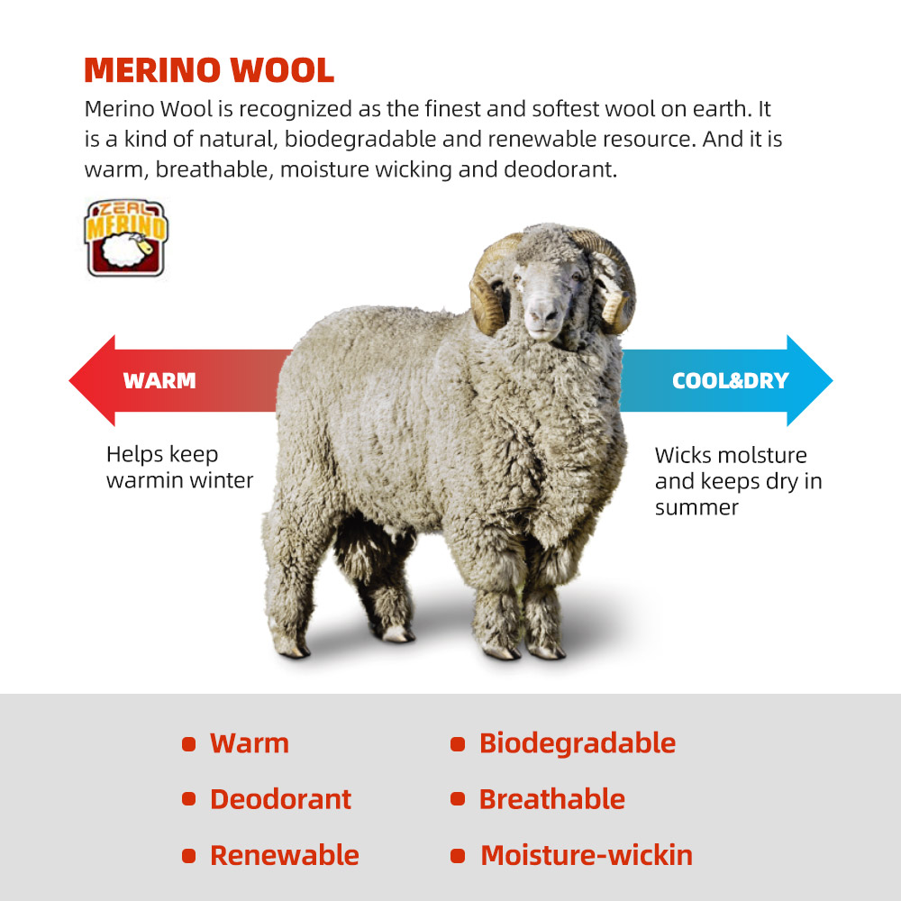 ZEALWOOD Merino Wool Running S - Wool Hiking Sock recension och pris
